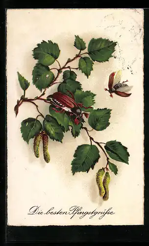 AK Krabbelnder und fliegender Maikäfer, Pfingstgruss