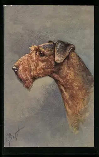 AK Seitenportrait eines Airdale-Terriers