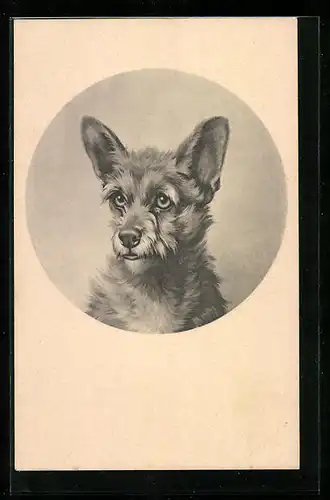 AK Portrait eines Hundes mit grossen Ohren