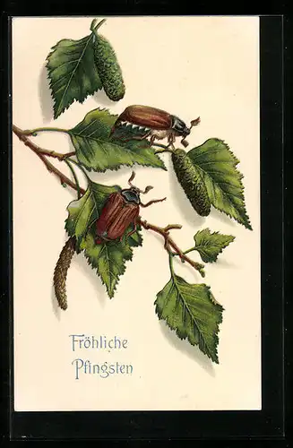 AK Krabbelnde Maikäfer auf einem Birkenzweig, Pfingstgruss