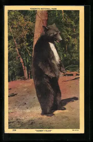 AK Yosemite National Park, Stehender schwarzer Bär vor Bäumen