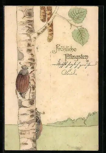 Lithographie Maikäfer krabbelt den Stamm einer Birke hoch, Pfingstgruss