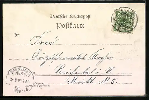 Lithographie Pirna, Totalansicht mit Fluss und Booten