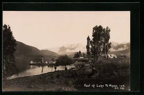 AK Lake Te Anau, Dampfer am Ufer