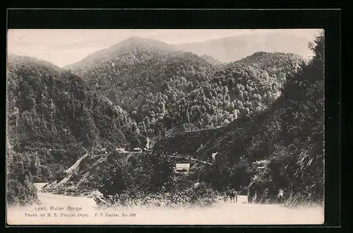 AK Lyell, Buller Gorge, Panorama