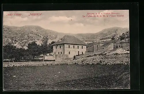 AK Niegus, Le Palais de SAR le Prince Nicolas