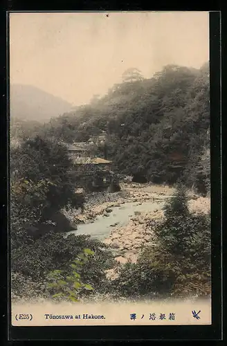 AK Hakone, Tonosawa at Hakone