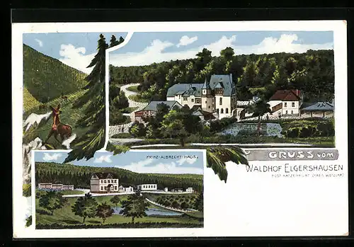 AK Elgershausen, Waldhof, Prinz-Albrecht-Haus