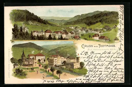 Lithographie Todtmoos /Bad. Schwarzwald, Gesamtansicht, Ortspartie