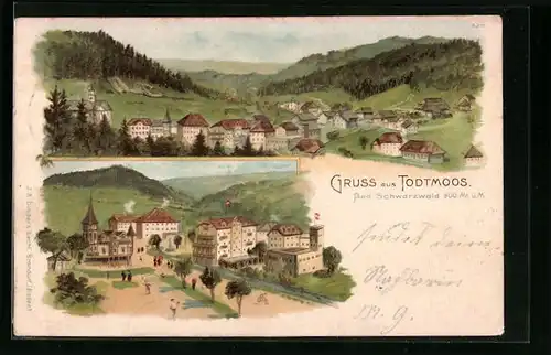 Lithographie Todtmoos /Bad. Schwarzwald, Gesamtansicht, Ortspartie