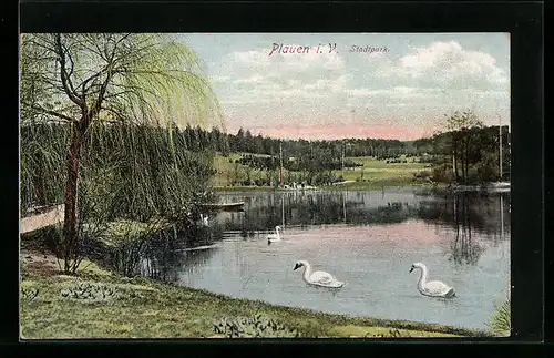 AK Plauen i. V., Partie im Stadtpark