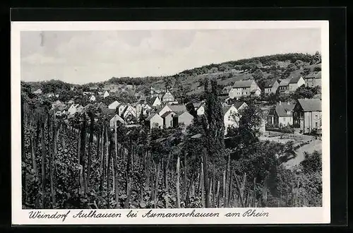 AK Aulhausen bei Assmannshausen, Teilansicht aus der Vogelschau