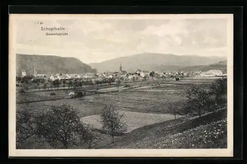 AK Schopfheim, Gesamtansicht mit Bergen