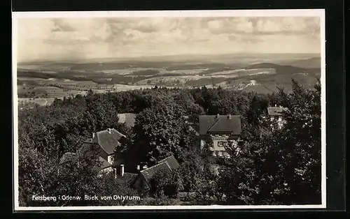 AK Felsberg i. Odenw., Blick vom Ohlyturm