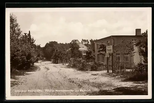 AK Neuschleffin /Ostsee. Pension Meeresrauschen und Waldluft mit Strasse