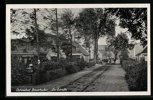 AK Bauerhufen /Ostsee, Dorfstrasse mit Häusern und Kühen
