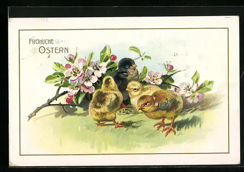 AK Osterküken wünschen Fröhliche Ostern
