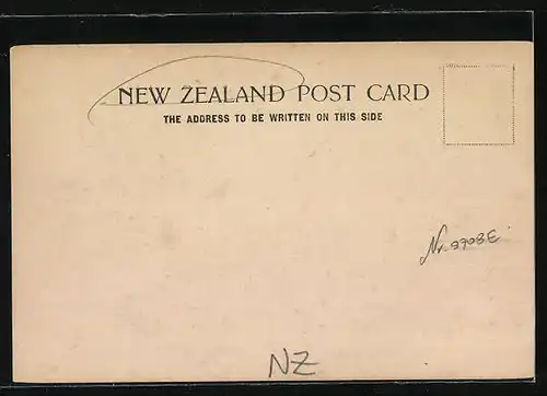 AK Dunedin, The Catholic Cathedral