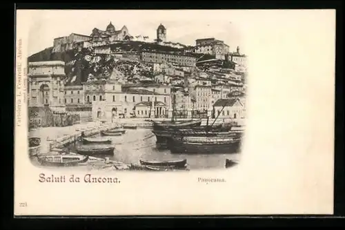 AK Ancona, Panorama