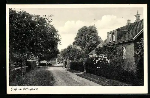 AK Collinghorst, Strassenpartie mit Gebäudeansicht