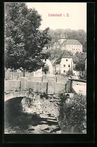 AK Liebstadt i. S., Ortspartie mit Brücke