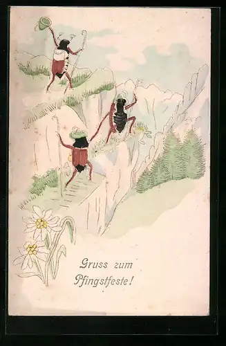 Präge-Lithographie Drei Maikäfer auf Wanderschaft in den Bergen, Pfingstgruss