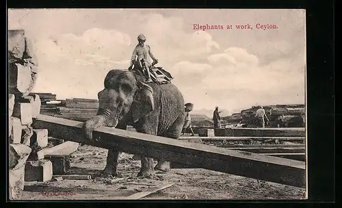 AK Ceylon, Arbeitselefant beim Holz-Transport