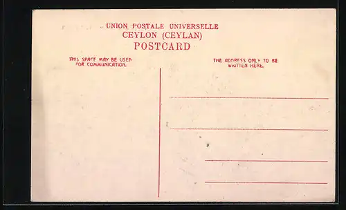 AK Ceylon, Arbeitselefant beim Holz-Transport