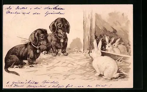 Präge-Lithographie Zwei Dackel betrachten ein weisses Kaninchen
