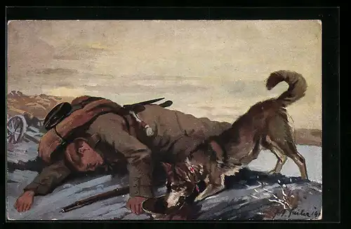 AK Ein Sanitätshund beim Auffinden eines Verwundeten