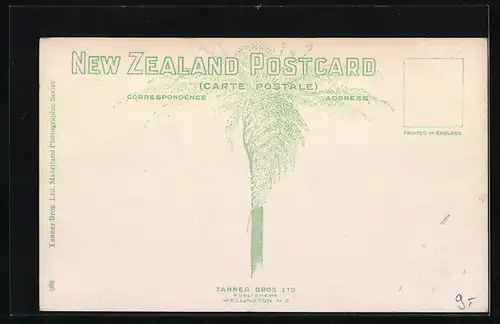 AK Wellington, Hospital Grounds and Nurses` Home