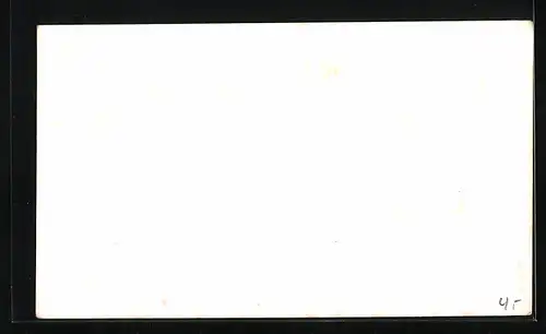 AK Wellington, General View showing Carillon and Art Gallery