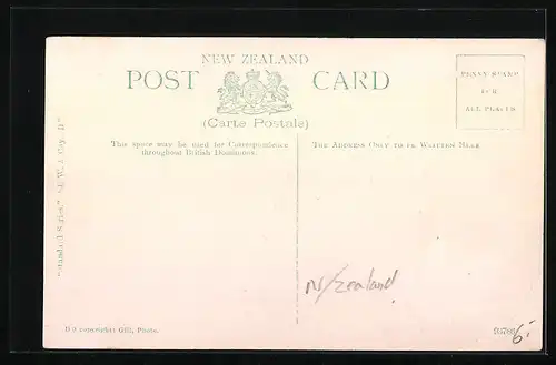 AK Dunedin, Boy`s High School