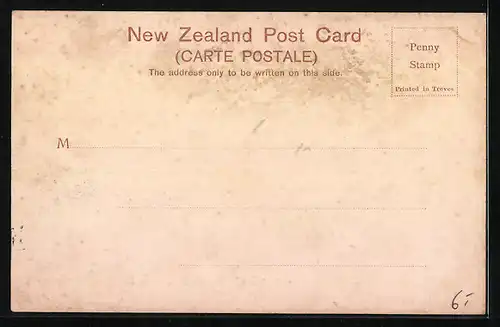 AK Dunedin, City from Heriot Row