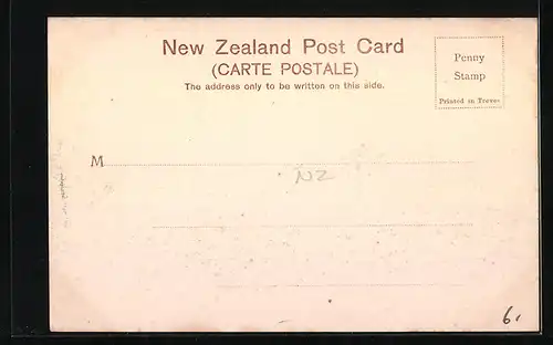 AK Dunedin, Joseph`s Cathedral & Convent