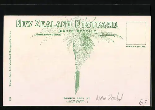 AK Auckland, Rangitoto from Grafton Bridge