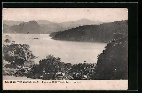 AK Great Barrier Island, Panorama