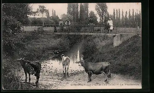 AK St-Didier-sur-Formans, La Passerelle