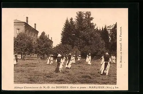 AK Marlieux, Les Moines au travail, La Fenaison