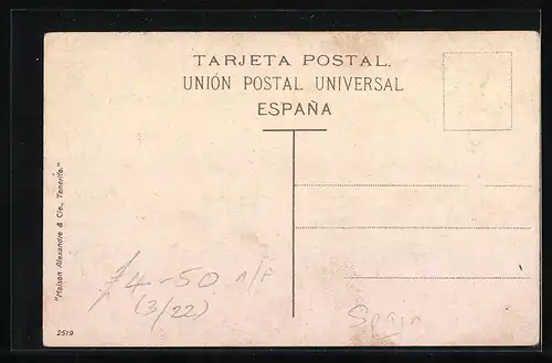 AK Tenerife, Vista general