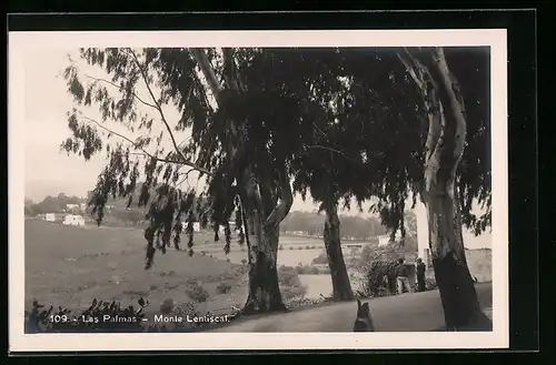 AK Las Palmas, Monte Lentiscal