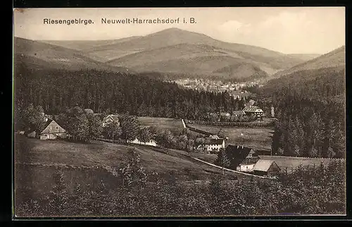 AK Neuwelt-Harrachsdorf i. B., Ortsansicht mit Riesengebirge