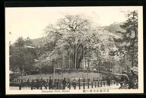 AK Kyoto, Maruyama Park