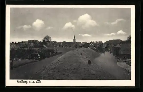AK Freiburg a. d. Elbe, Teilansicht der Ortschaft