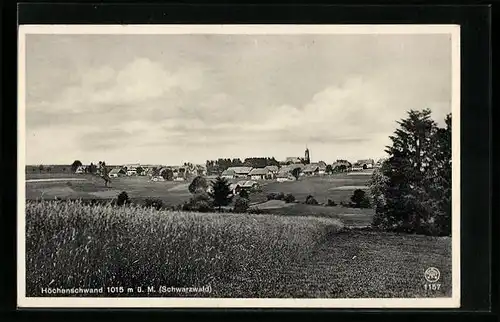 AK Höchenschwand /Schwarzwald, Gesamtansicht der Ortschaft