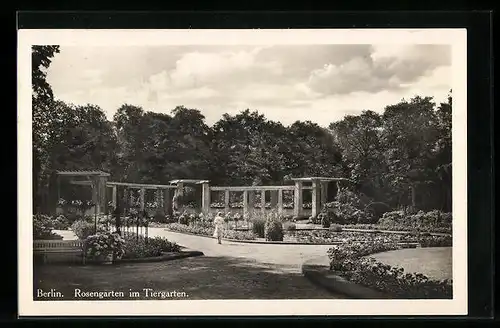 AK Berlin, Rosengarten im Tiergarten