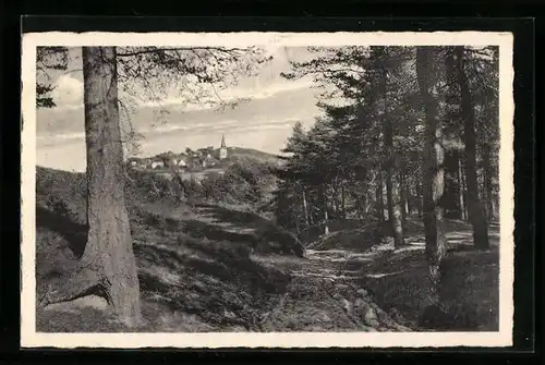 AK Oerlinghausen /Teutoburger Wald, Waldpartie mit Ortschaft in der Ferne