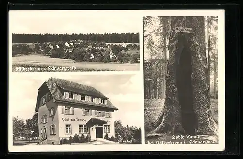 AK Kälberbronn i. Schwarzwald, Gasthaus Traube, Hohle Tanne
