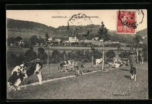 AK Hauteville, Paturages Bellecombe