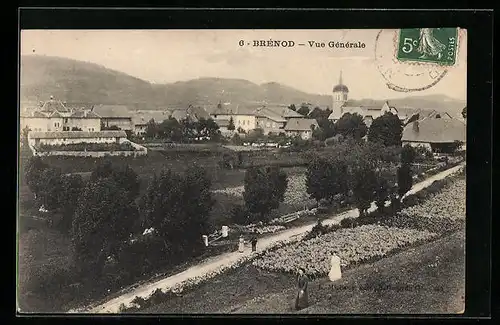 AK Brénod, Vue Générale